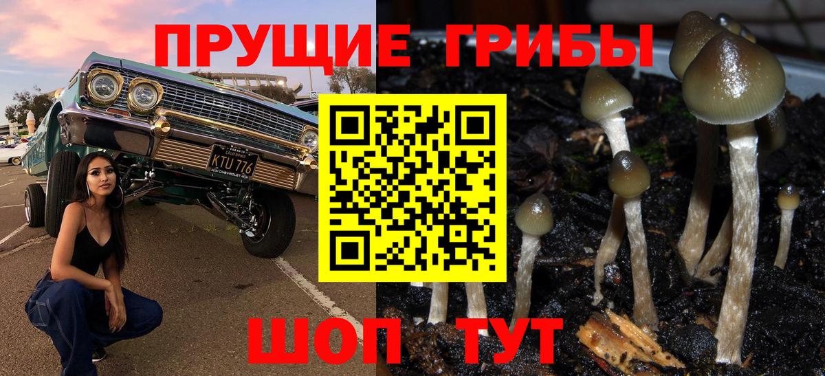 Галлюциногенные грибы прущие грибы  Вход с VPN  Алатырь 