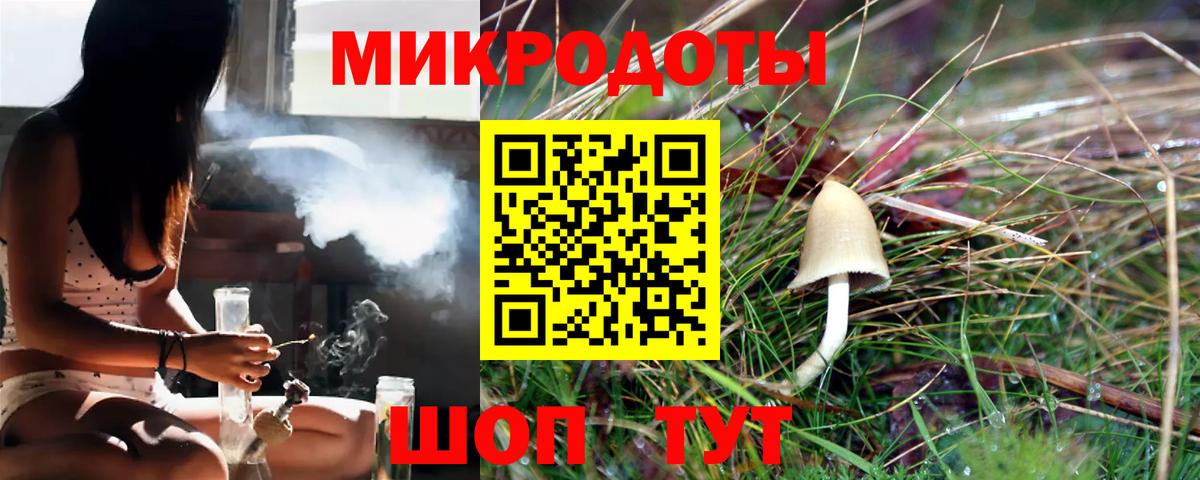 Псилоцибиновые грибы прущие грибы Алатырь